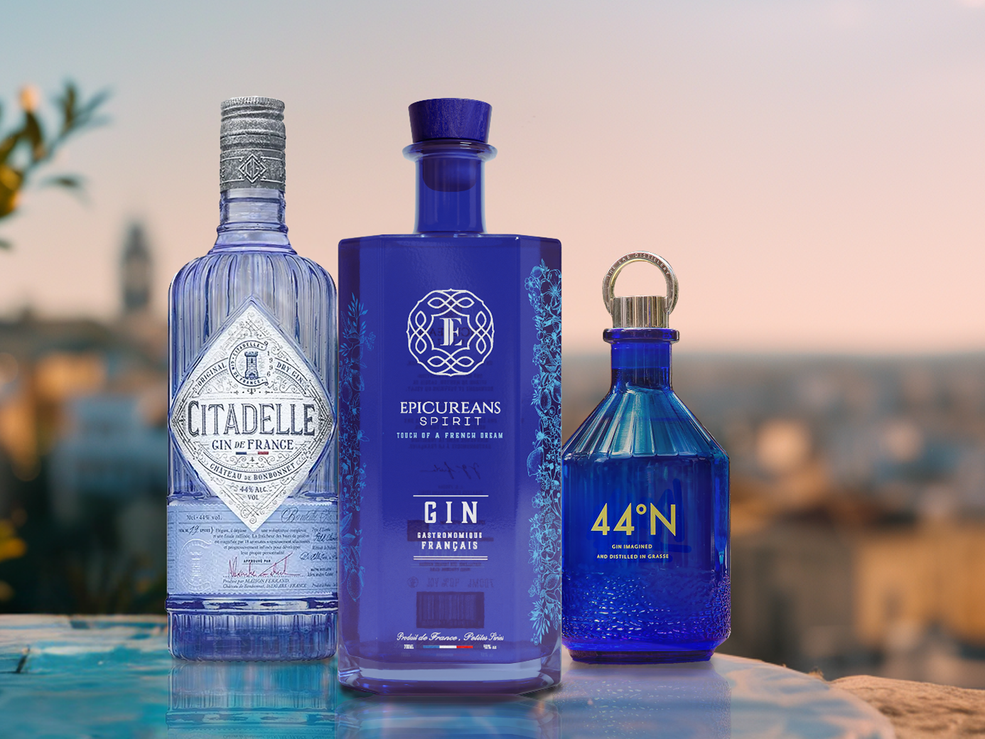 Les Gins Français Stars de 2024 : N44, Citadelle, Epicureans Gin